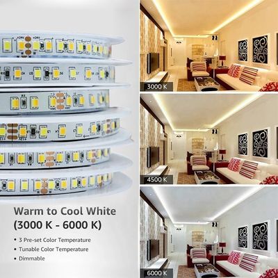 12V 60LEDs/m 6000K-6500K SMD 2835 화이트 주소형 LED 백라이트 스트립 라이트 2200 lm