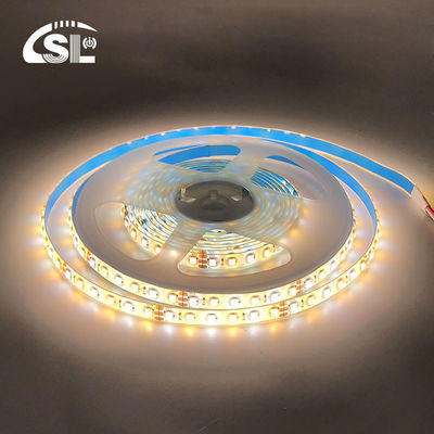 10mm 240LEDs 3000K-6500K CCT 방수 ip65 쌍색 SMD2835 LED 스트립 라이트 12v24v