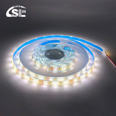 10mm 240LEDs 3000K-6500K CCT 방수 ip65 쌍색 SMD2835 LED 스트립 라이트 12v24v