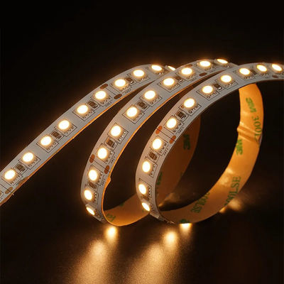 12V 24V 추격 부드러운 야외 실리콘 스마트 라이트 Smd 유연 LED 네온 스트립 라이트 10M