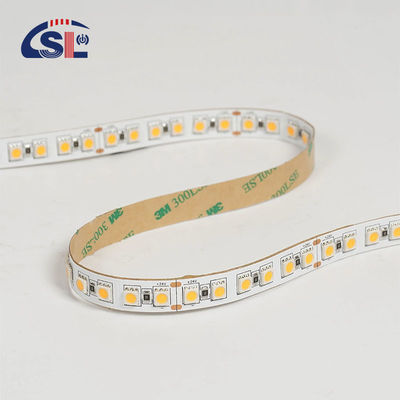 12V 24V 추격 부드러운 야외 실리콘 스마트 라이트 Smd 유연 LED 네온 스트립 라이트 10M