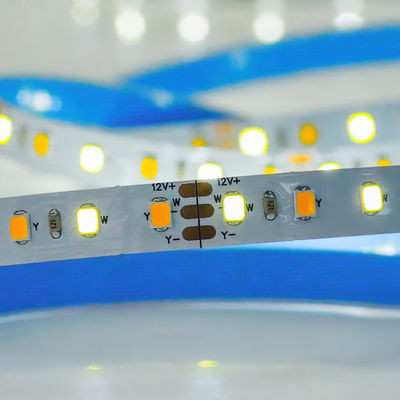 맞춤형 CCT 12V24V 8mm 120leds 3000K-6500K 따뜻한 흰색-백색 SMD2835 LED 스트립 라이트
