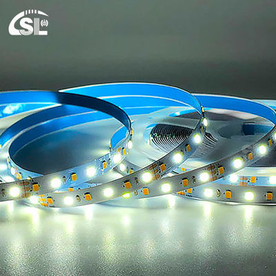 이중 컬러 LED 라이트 스트립 SMD 2835 120D 8mm 1200-1600LM 2700K-6500K 35Copper Ra70