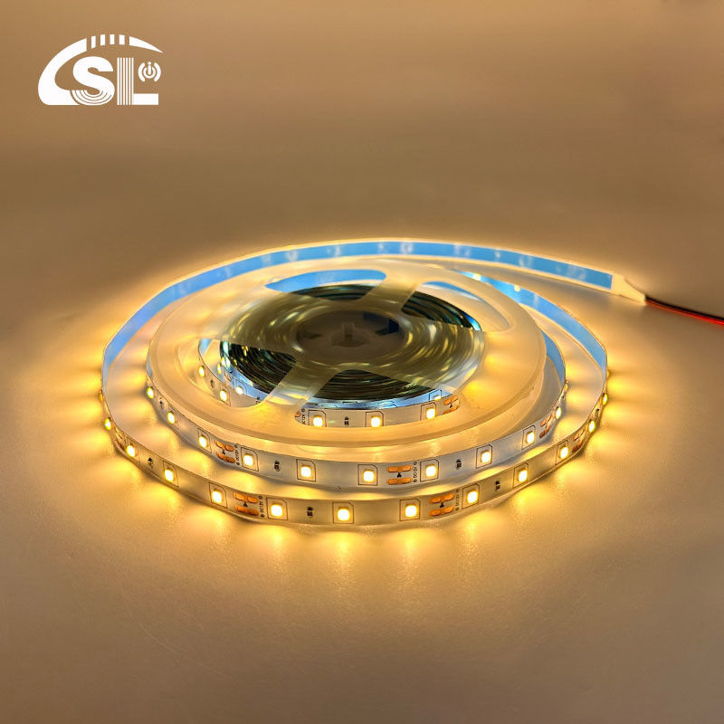 플렉서블 DC12V24V 8mm10mm 60leds 3000K 따뜻한 흰색 다이 보드 SMD2835 호텔 조명
