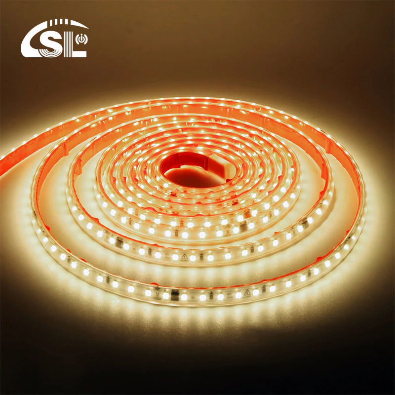 120 LED 10W/m 고전압 LED 스트립 라이트 AC110V 220V IP65 방수 SMD 2835