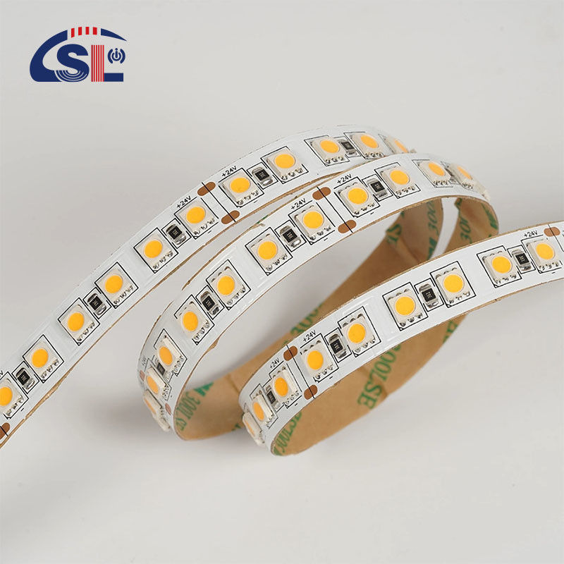 12V 24V 추격 부드러운 야외 실리콘 스마트 라이트 Smd 유연 LED 네온 스트립 라이트 10M