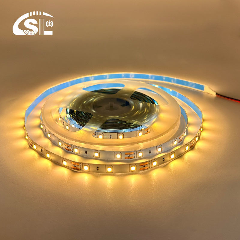 DC12V24V 8mm10mm 60leds 12000K 냉정 하얀 SMD2835 LED 스트립 라이트